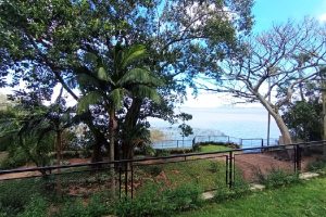 Casa em Condomínio para alugar com 334m², 3 dormitórios, 3 vagas no bairro Pedra Redonda em Porto Alegre - Foto 28