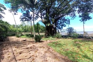 Casa em Condomínio para alugar com 334m², 3 dormitórios, 3 vagas no bairro Pedra Redonda em Porto Alegre - Foto 29