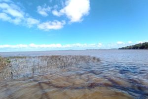 Casa em Condomínio para alugar com 334m², 3 dormitórios, 3 vagas no bairro Pedra Redonda em Porto Alegre - Foto 32