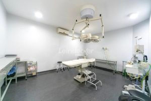 Prédio para alugar com 1.126m² no bairro Bom Fim em Porto Alegre - Foto 8