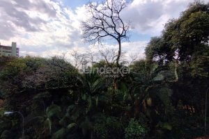 Apartamento para alugar com 154m², 3 dormitórios, 2 vagas no bairro Três Figueiras em Porto Alegre - Foto 9