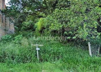 Terreno para alugar com 300m² no bairro Vila Nova em Porto Alegre